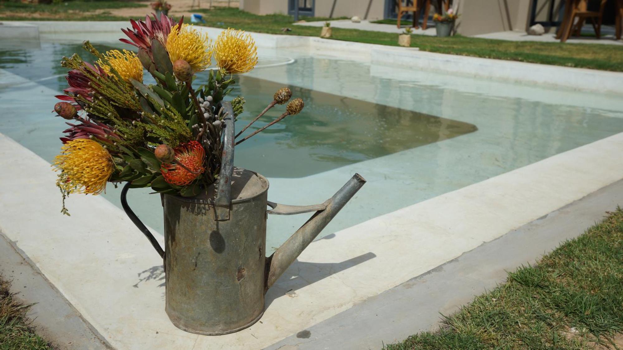 Stellar Overberg Travellers Lodge Napier 外观 照片