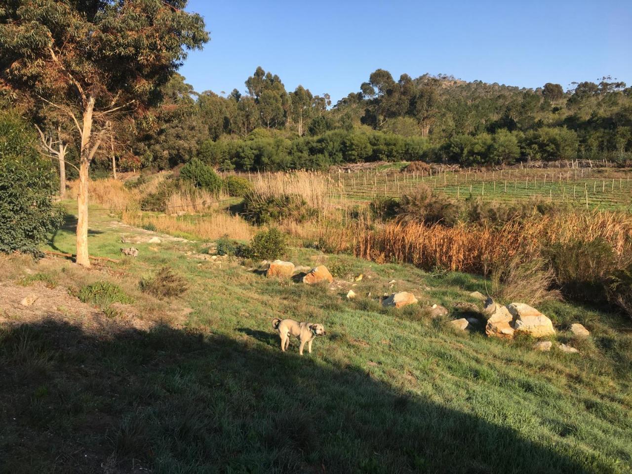 Stellar Overberg Travellers Lodge Napier 外观 照片