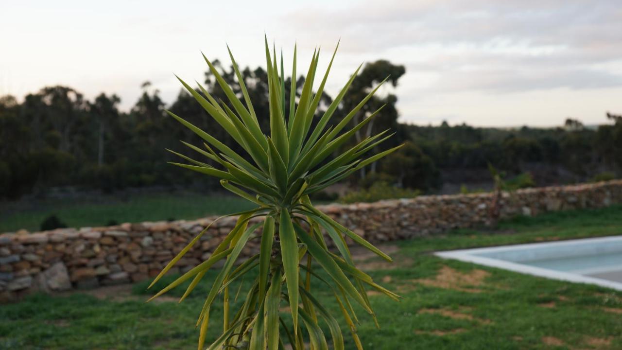 Stellar Overberg Travellers Lodge Napier 外观 照片