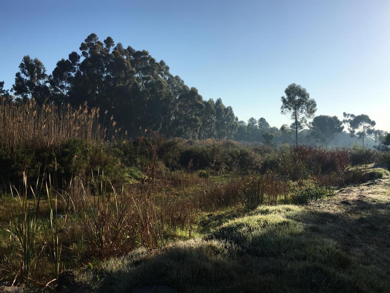 Stellar Overberg Travellers Lodge Napier 外观 照片