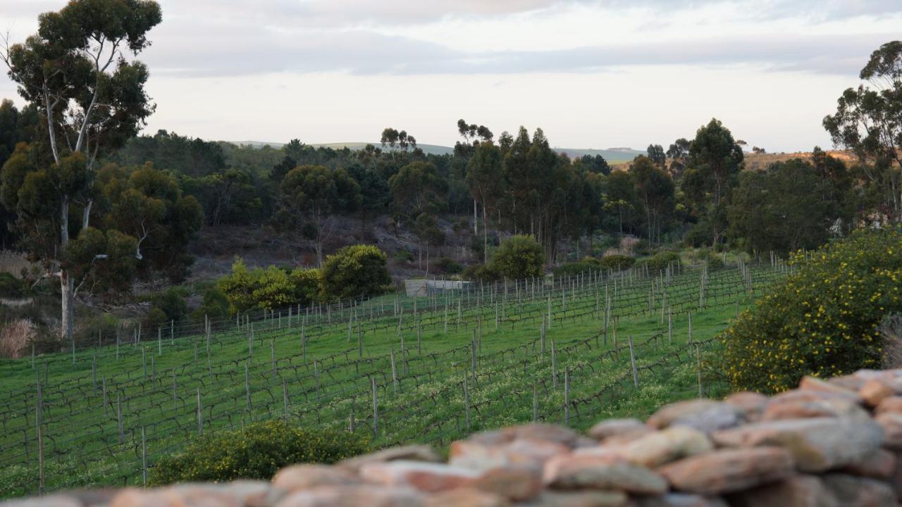 Stellar Overberg Travellers Lodge Napier 外观 照片